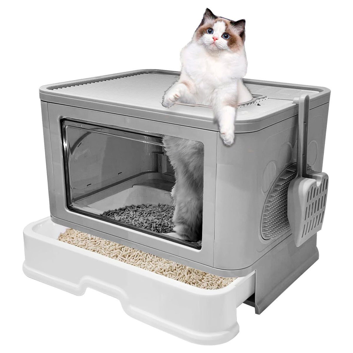 Arenera Caja Baño Gatos