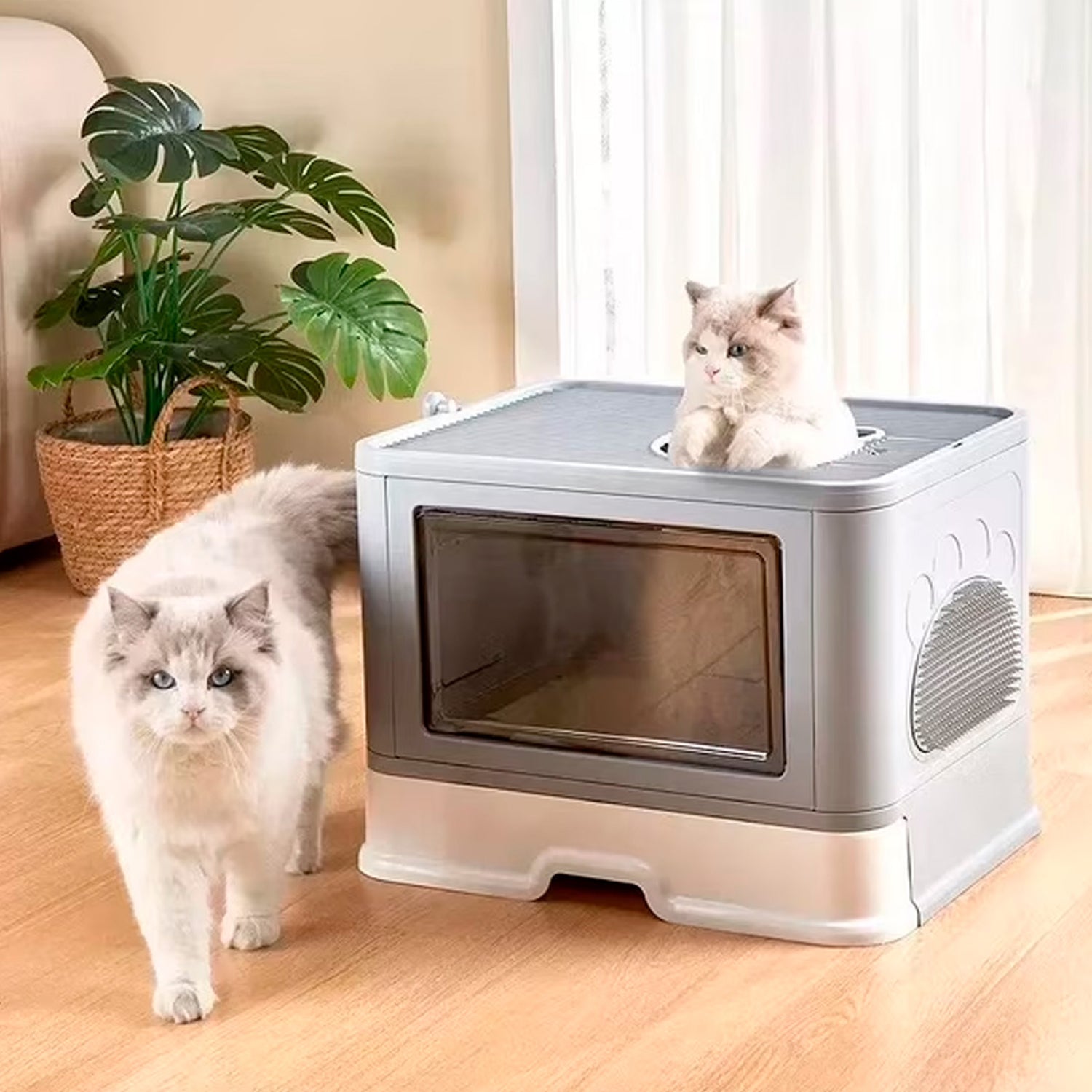 Arenera Caja Baño Gatos