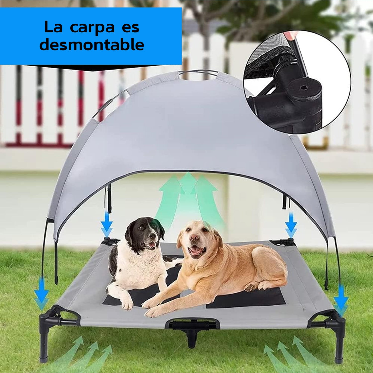 Cama elevada mascotas
