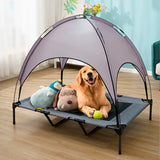 Cama elevada mascotas