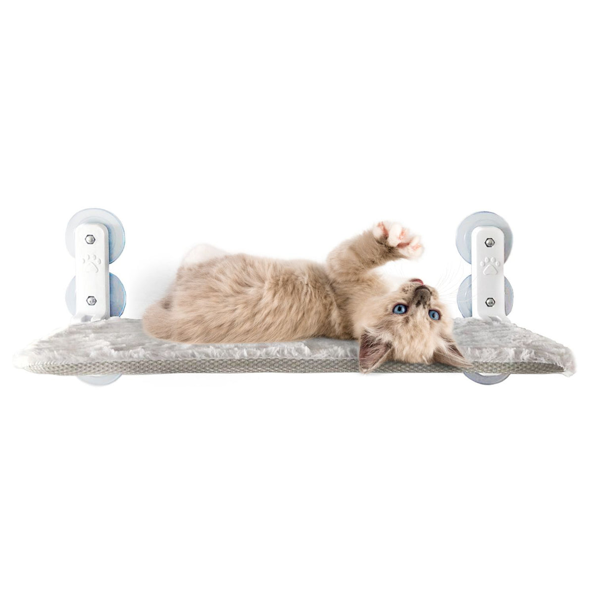 Cama Hamaca Flotante Gato