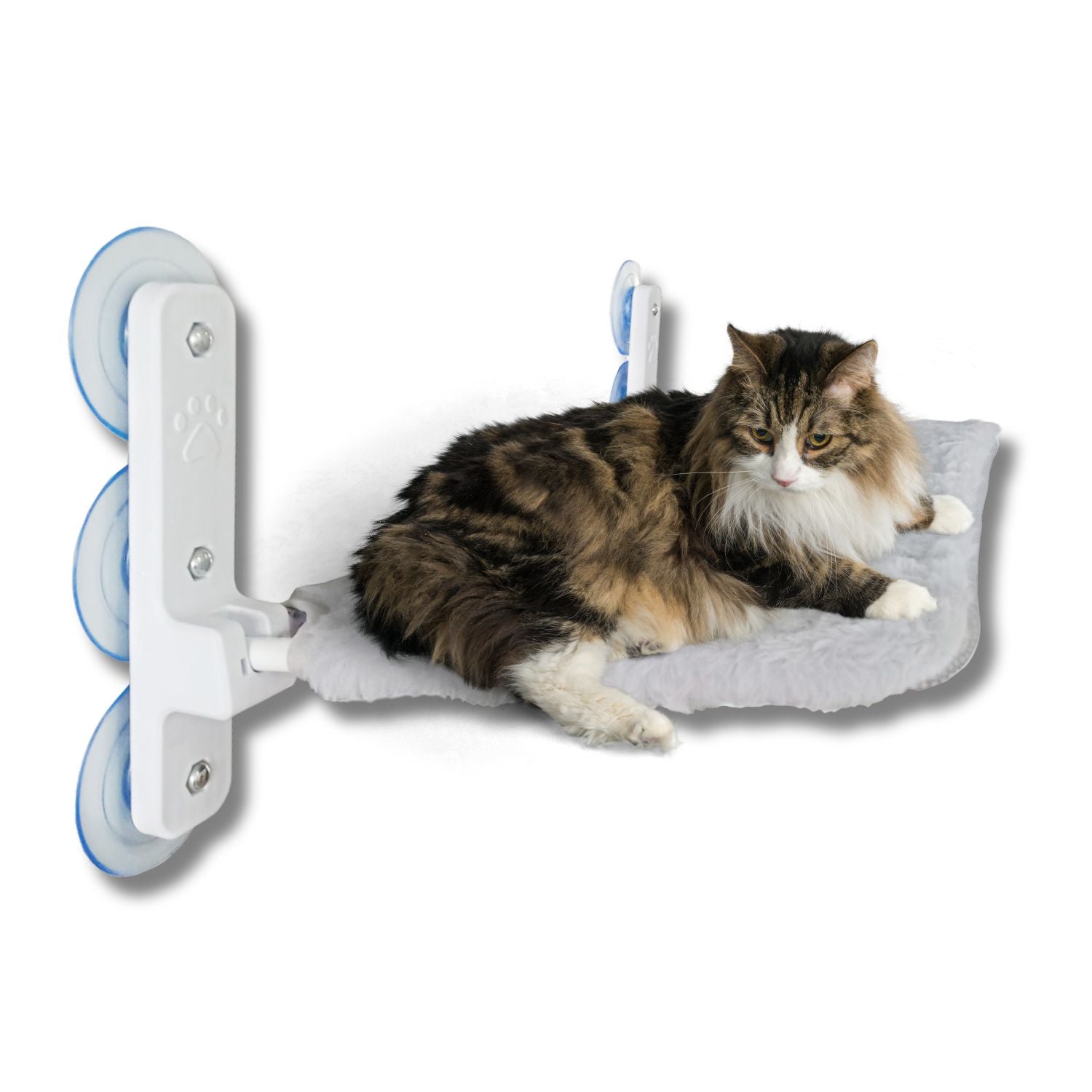 Cama Hamaca Flotante Gato