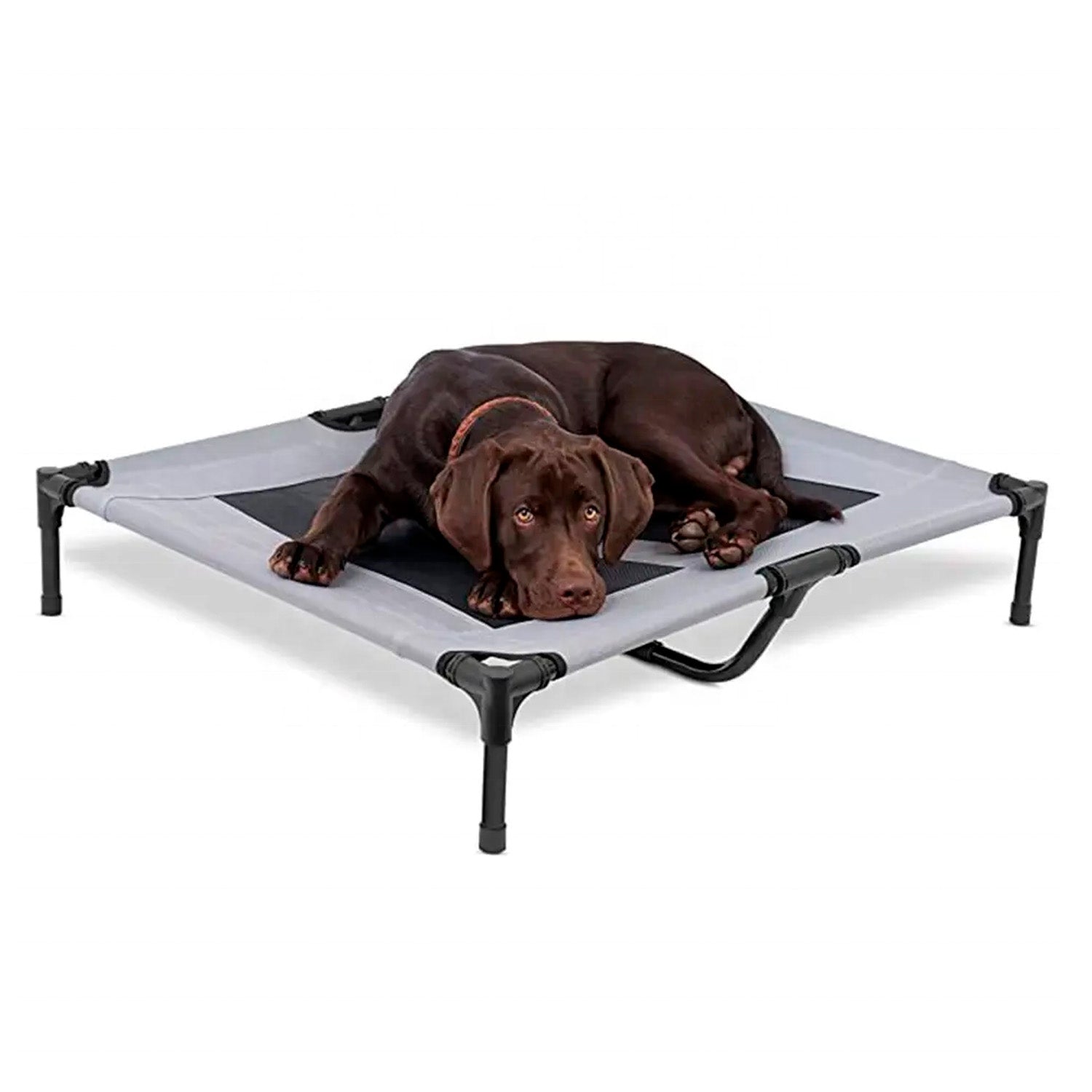 Cama elevada mascotas
