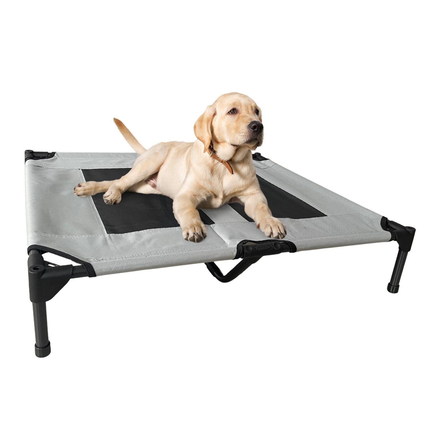 Cama elevada mascotas