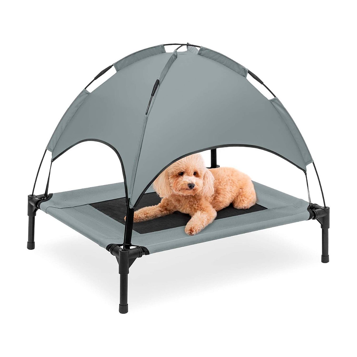 Cama elevada mascotas