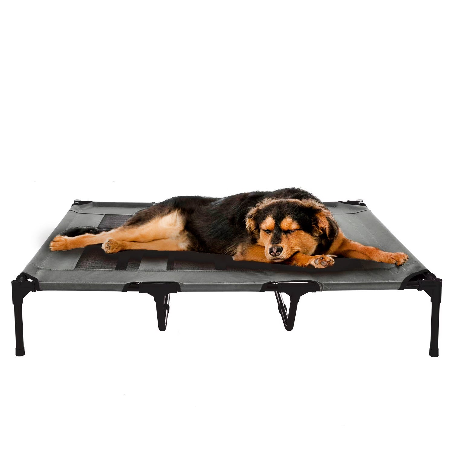 Cama elevada mascotas