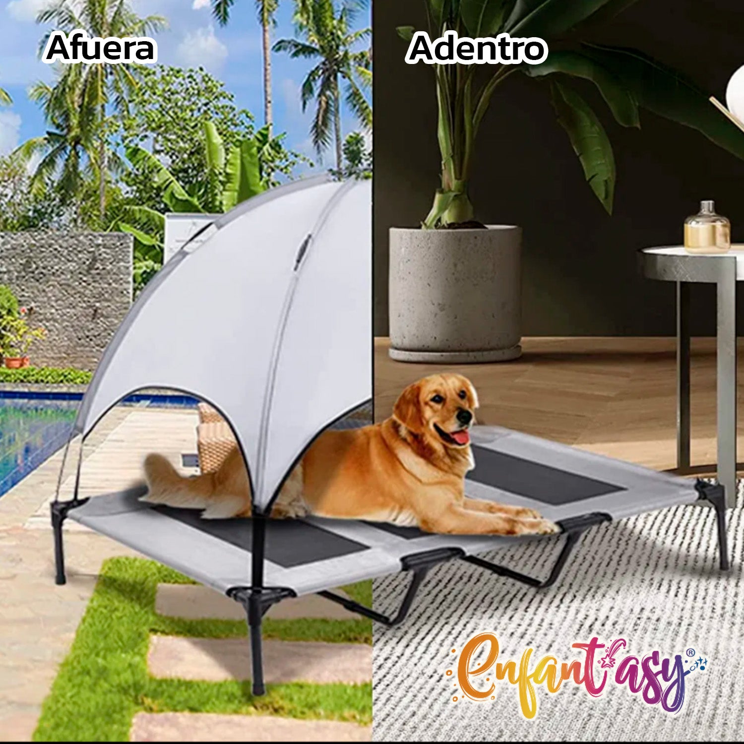 Cama elevada mascotas