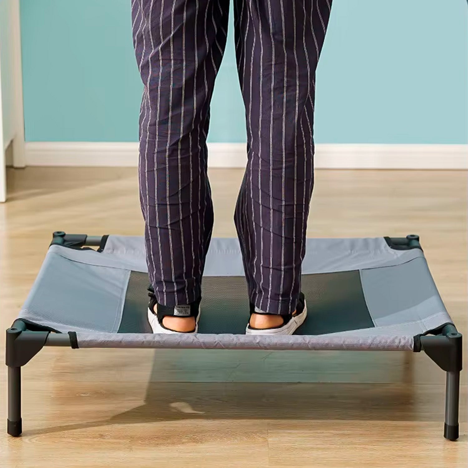 Cama elevada mascotas