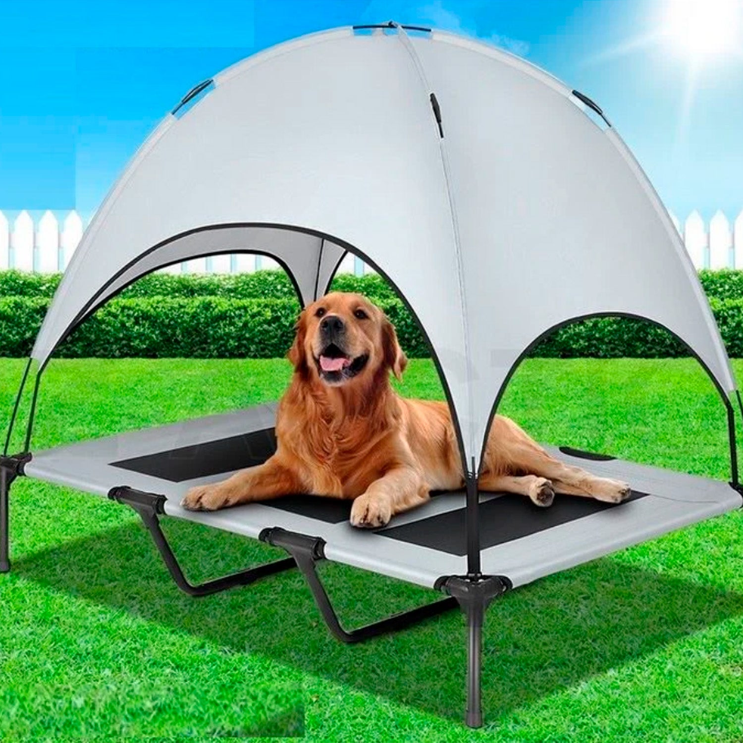 Cama elevada mascotas