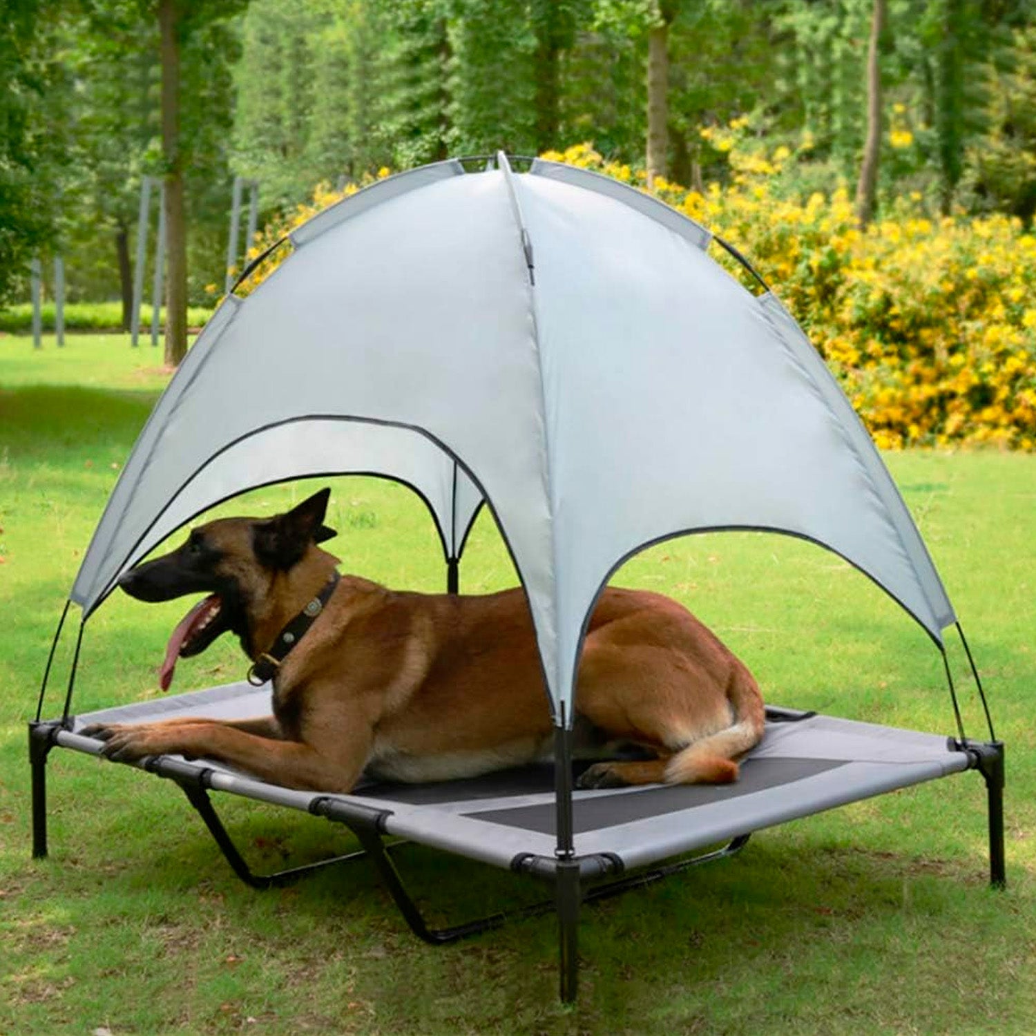Cama elevada mascotas