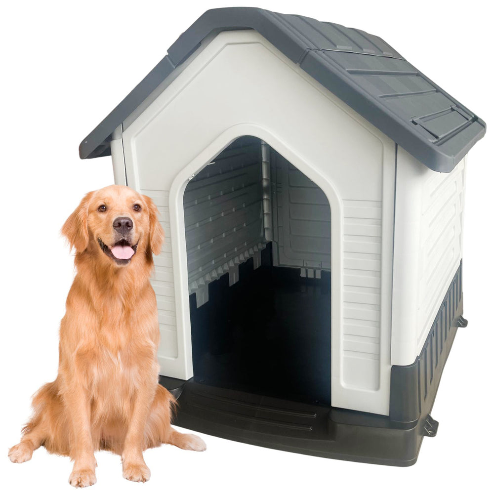 Casa Grande Mascotas, vista 4