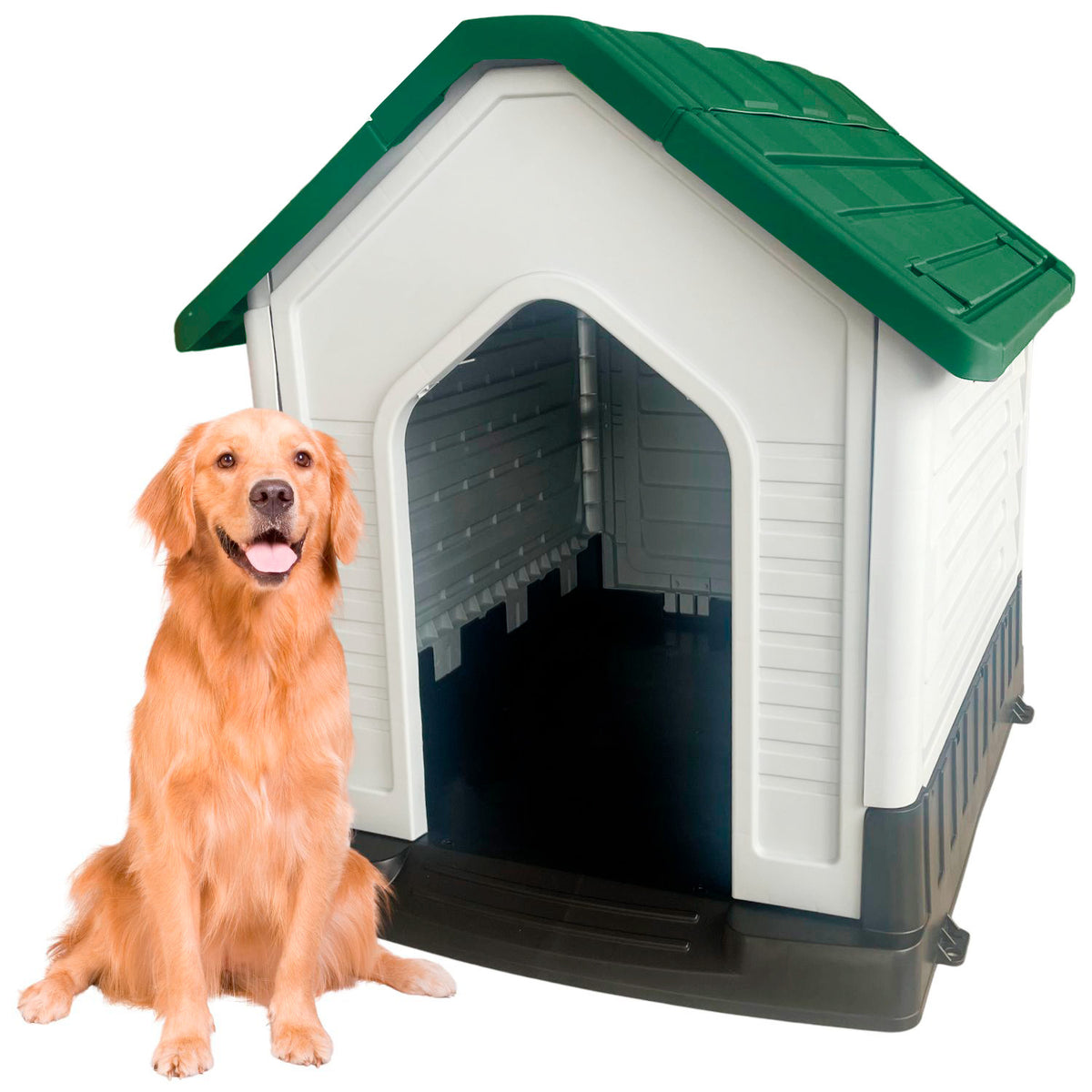 Casa Grande Mascotas, vista 5
