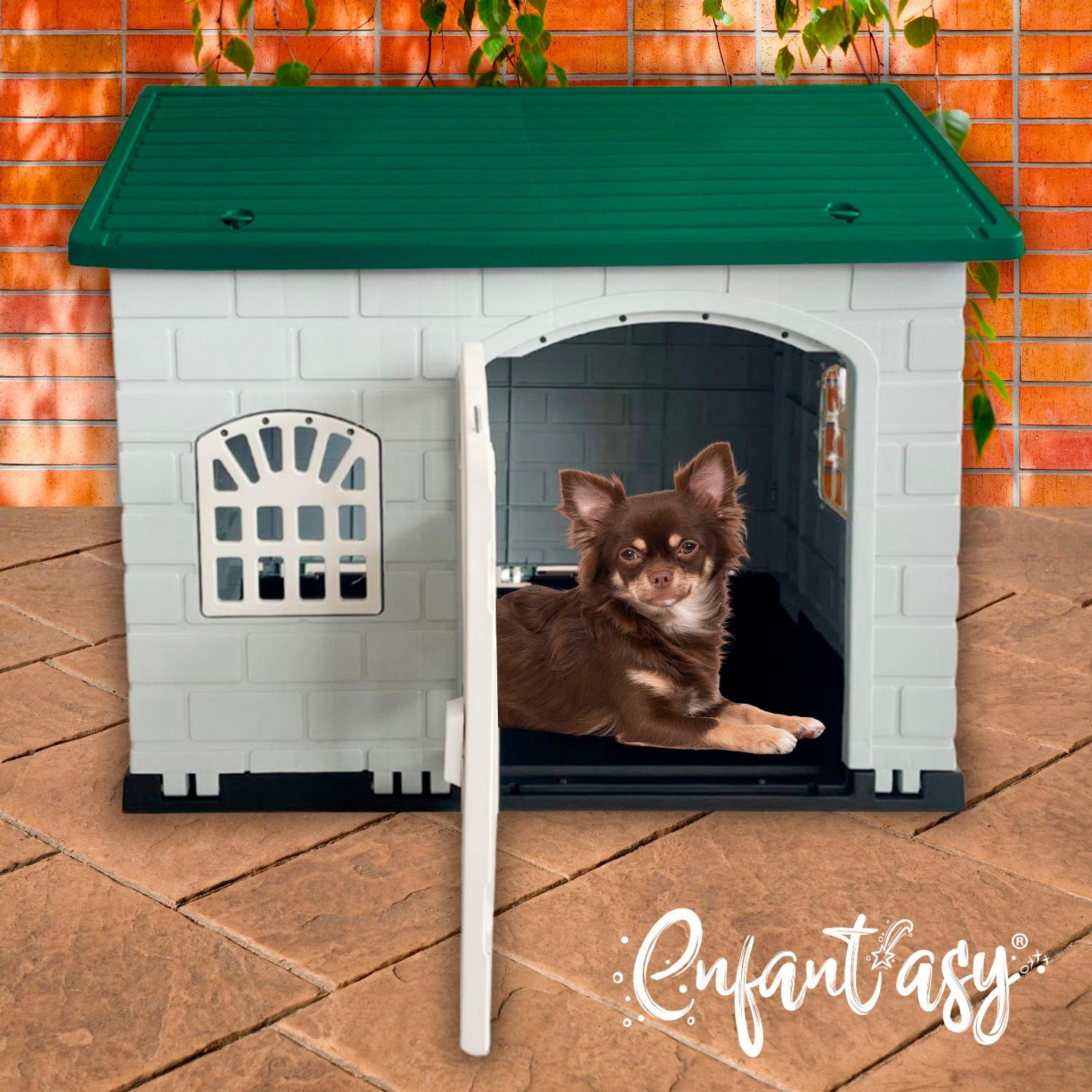 Casa Mediana Mascota, vista 7