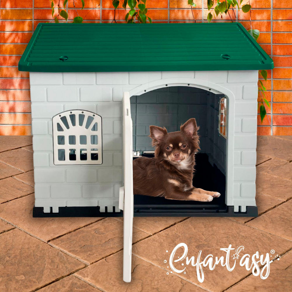 Casa Mediana Mascota, vista 7