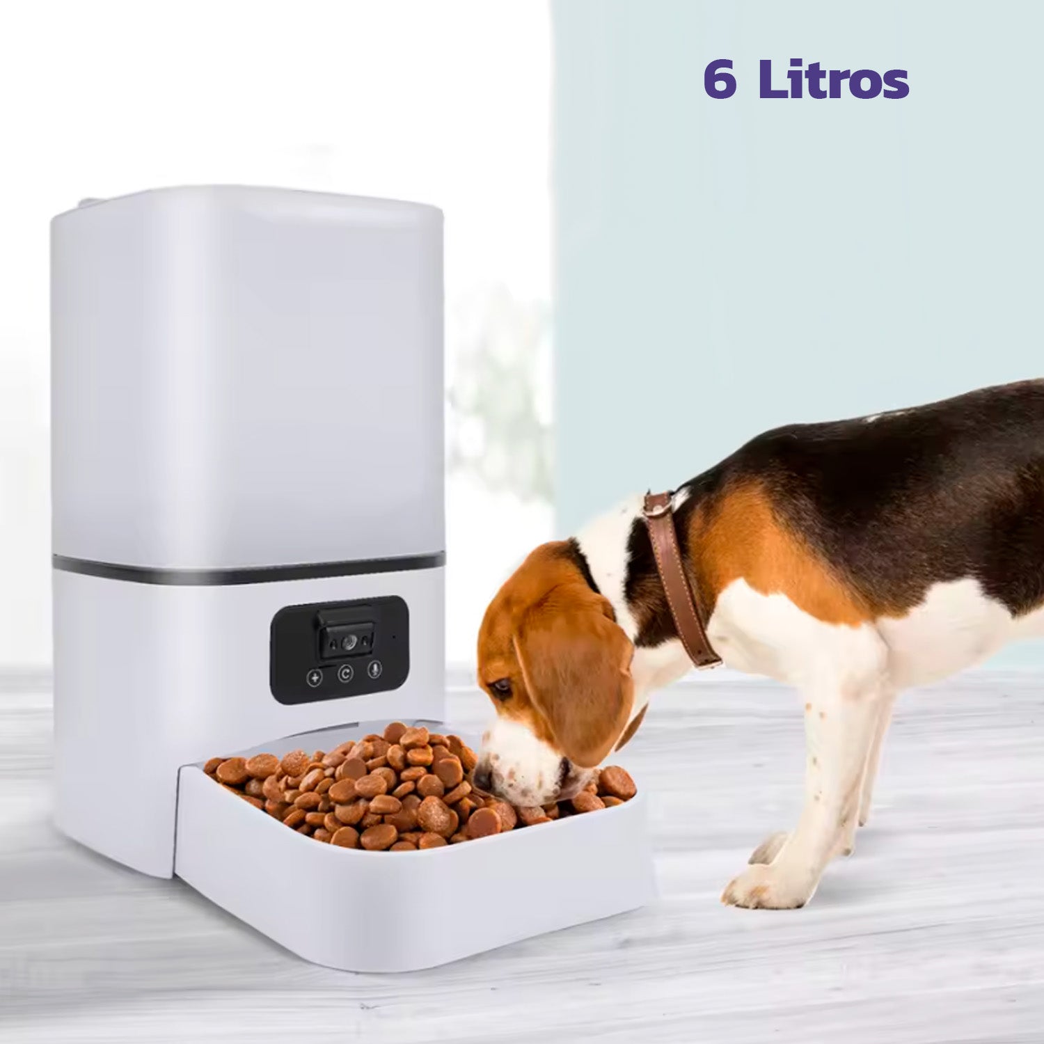 Comedero automático mascotas