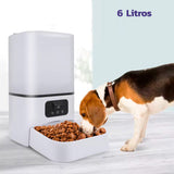 Comedero automático mascotas