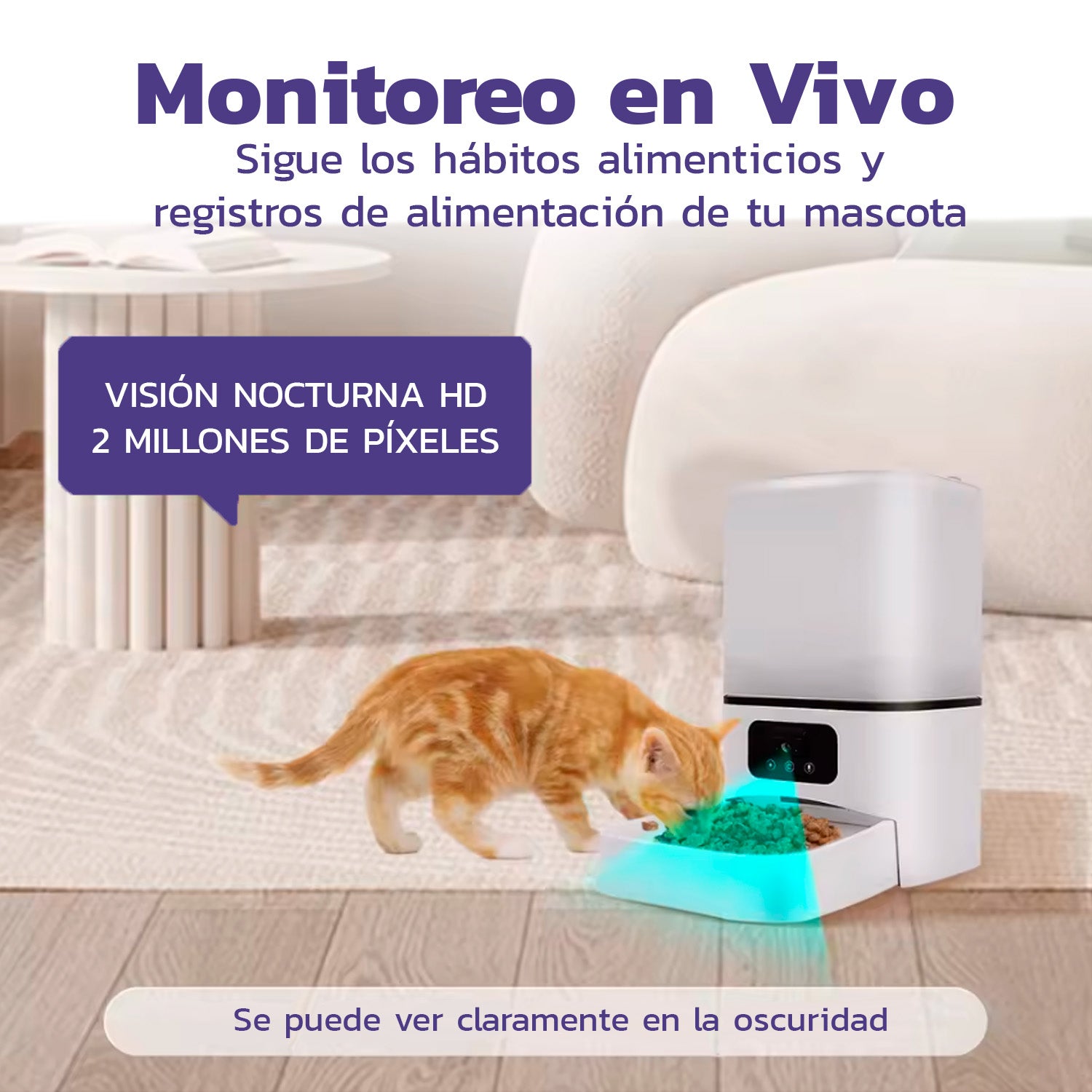 Comedero automático mascotas
