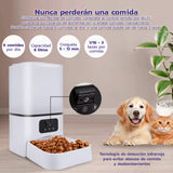 Comedero automático mascotas