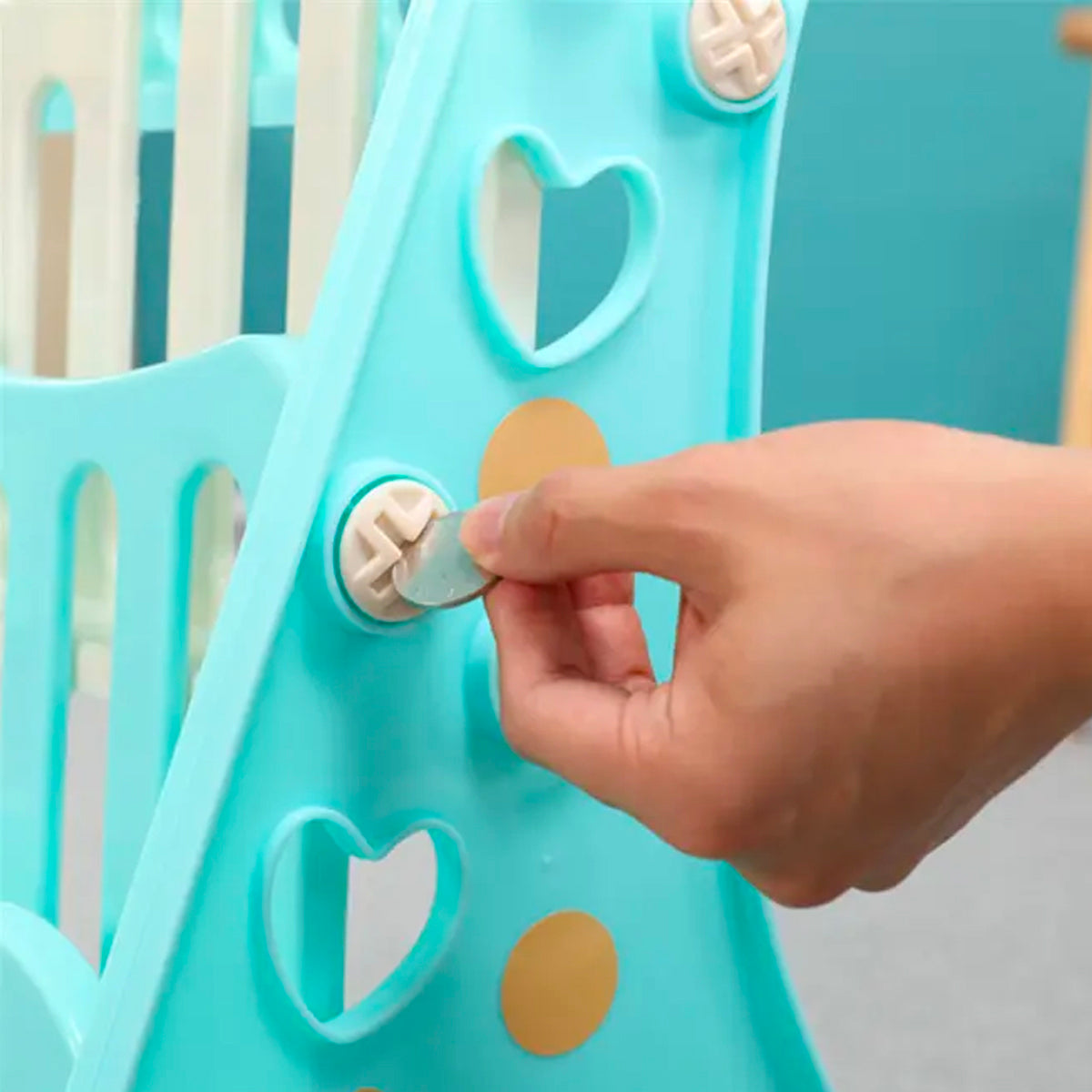 Organizador de Libros